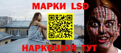 крисы Донецк