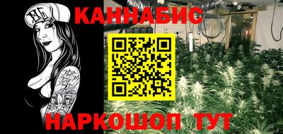 МДПВ Дубна