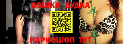 МДПВ Дубна