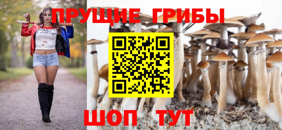 Псилоцибиновые грибы GOLDEN TEACHER Мариинск
