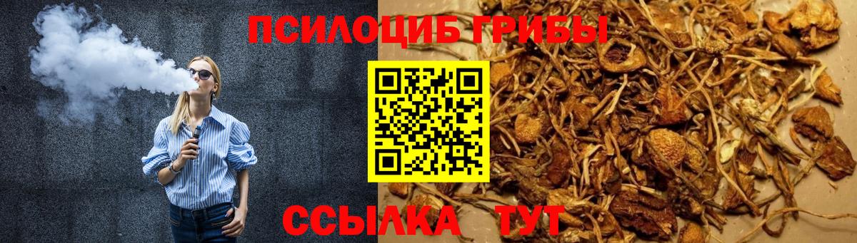 Псилоцибиновые грибы Magic Shrooms  Галлюциногенные грибы мицелий  Мариинск  Вход с VPN 
